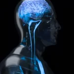 Recent Breakthrough Links Anxious Thoughts to a Secret Nerve in Your Body