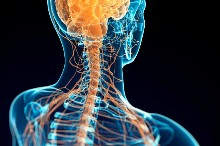 The Secret Nerve That Could Calm Your Mind, Heal Your Gut, and Boost Performance — Can You Really Hack It?