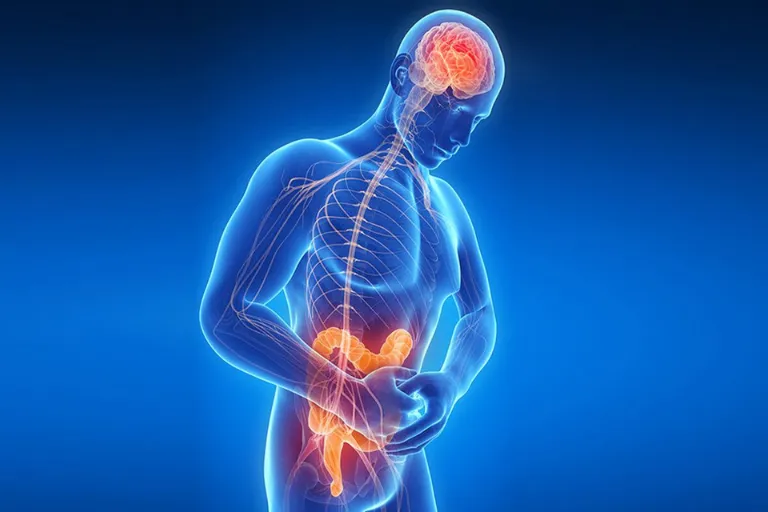 Brain Fog and the Vagus Nerve: Could Gut Inflammation Be the Missing Link?