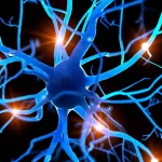 The Future of Vagus Nerve Neuromodulation: Why Transcutaneous Non-Invasive Pathways Are Leading the Next Wave of Bioelectronic Medicine