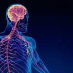 7 Hidden Ways Your Nervous System Quietly Sabotages Your Health
