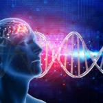 Genetic Factors in Mental Disorders: Exploring Their Impact