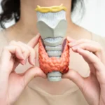 Understanding an Underactive Thyroid: What to Watch For and When to Seek Help