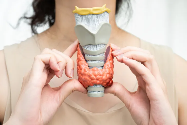 Understanding an Underactive Thyroid: What to Watch For and When to Seek Help